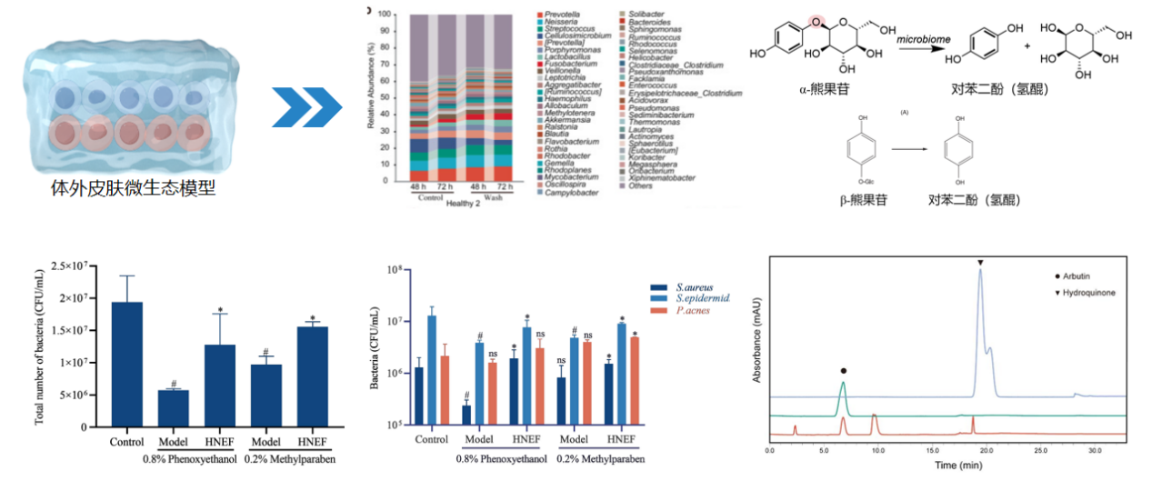 PDRN,再生醫學,護膚前沿,皮膚微生態,安全性評估