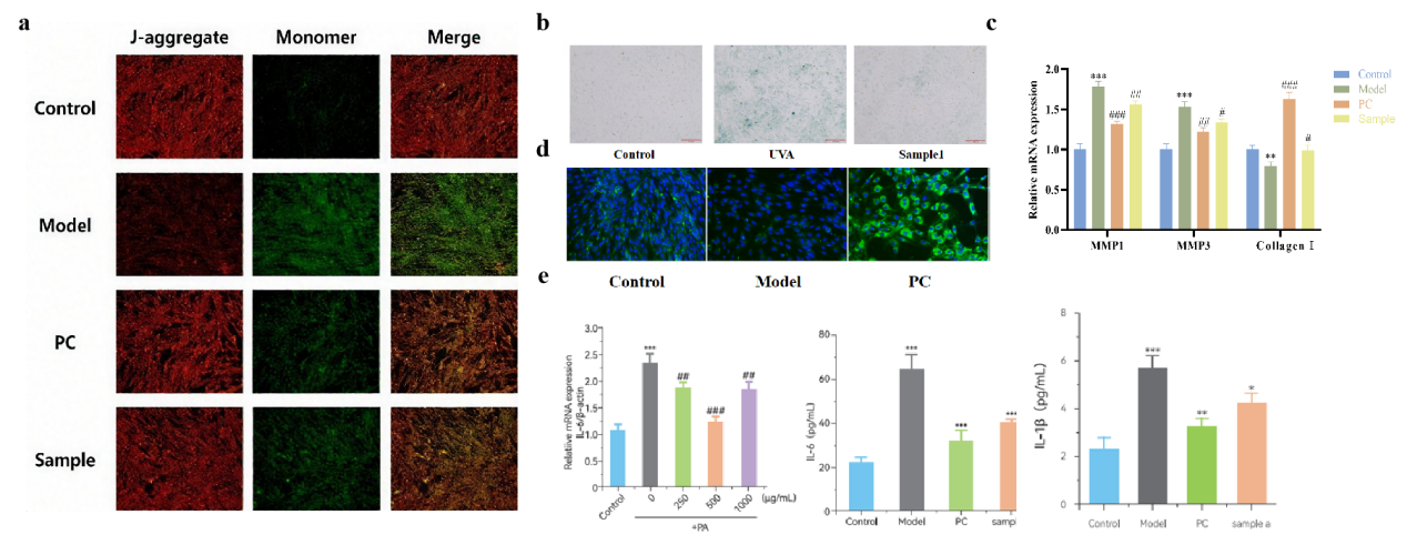 抗炎,PDRN,再生醫學,護膚前沿,皮膚微生態,安全性評估
